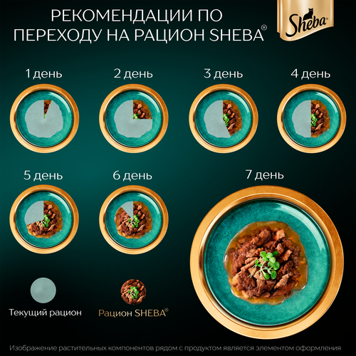 Корм консервированный для кошек SHEBA Нежный паштет в желе Лосось, 75г, фотография