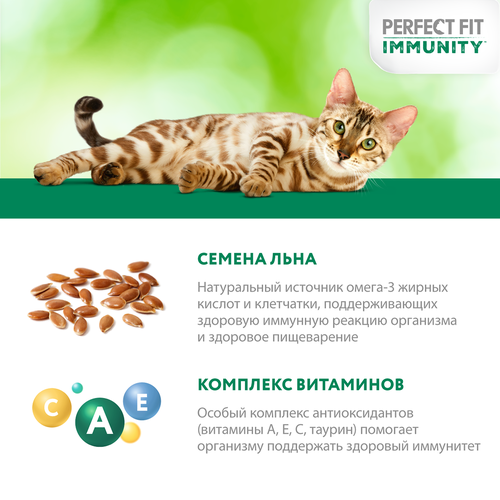Корм консервированный для взрослых кошек PERFECT FIT Иммунитет с говядиной в желе с добавлением льна, 75г, детальное фото