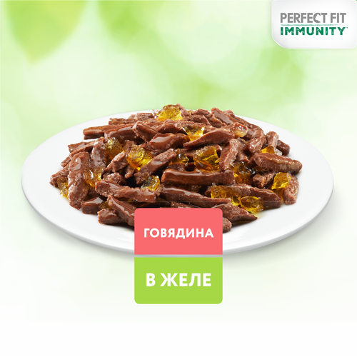 Корм консервированный для взрослых кошек PERFECT FIT Иммунитет с говядиной в желе с добавлением льна, 75г, фото