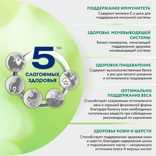 Корм консервированный для взрослых кошек PERFECT FIT Иммунитет с говядиной в желе с добавлением льна, 75г, крупный план