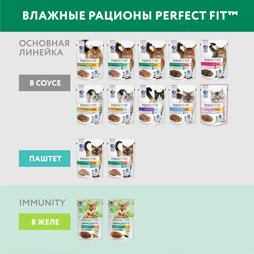 Корм консервированный для взрослых кошек PERFECT FIT Иммунитет с говядиной в желе с добавлением льна, 75г, детальное фото