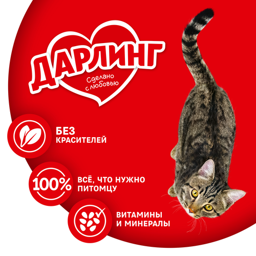 Корм влажный для взрослых кошек ДАРЛИНГ с курицей в подливе, 75г, крупный план