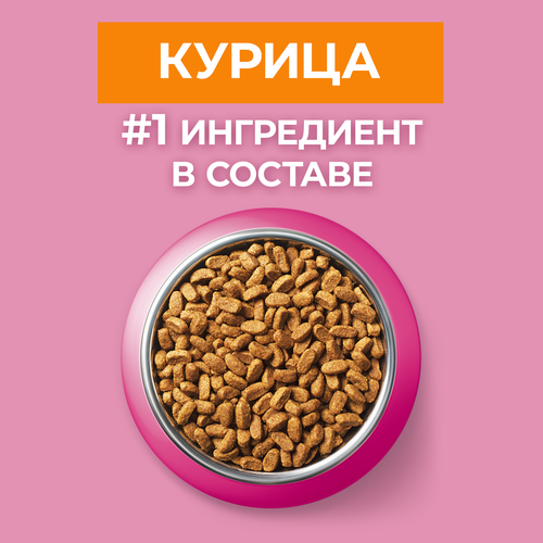Корм сухой для котят PURINA ONE Kitten с курицей и цельными злаками, 200г, крупный план