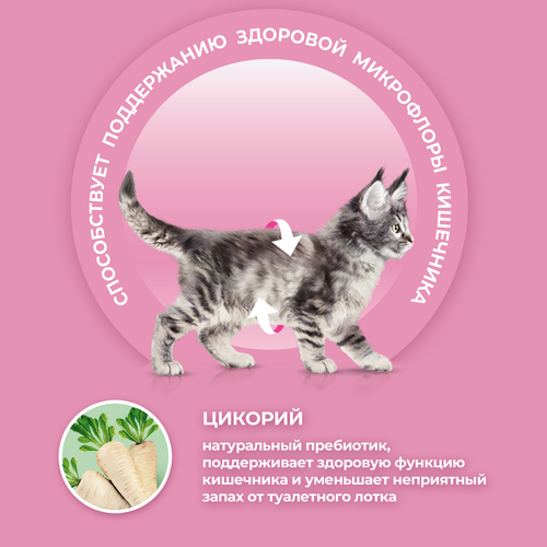Корм сухой для котят PURINA ONE Kitten с курицей и цельными злаками, 200г, детальное фото