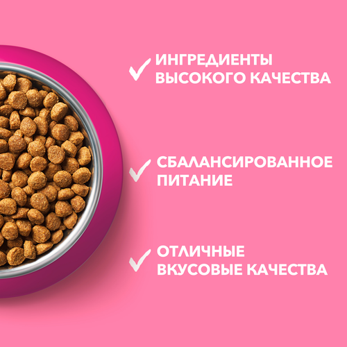 Корм сухой для котят PURINA ONE Kitten с курицей и цельными злаками, 200г, фотография
