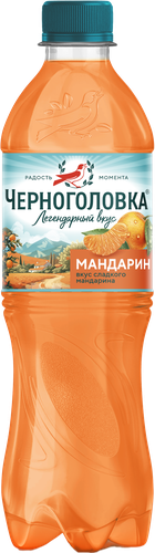 Напиток ЧЕРНОГОЛОВКА Мандарин газированный, 0.5л, вид