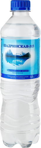 Вода минеральная ПРАВИЛЬНОЕ РЕШЕНИЕ Шадринская газированная, 0.5л, вид