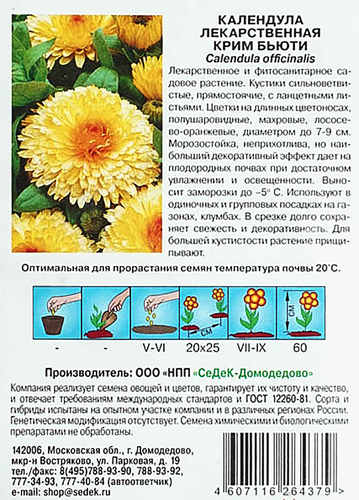 Семена Календула Крим бьюти, фотография