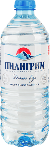 Вода минеральная ПИЛИГРИМ негазированная, 0,5л, фотография