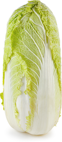 Капуста Пекинская, весовая, вид