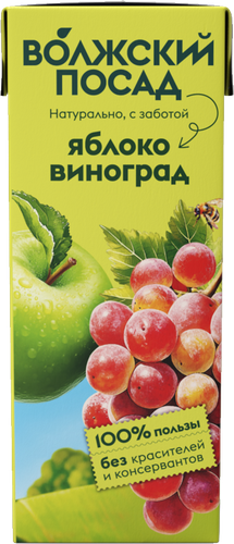 Нектар ВОЛЖСКИЙ ПОСАД Яблочно-виноградный, 0.2л, вид