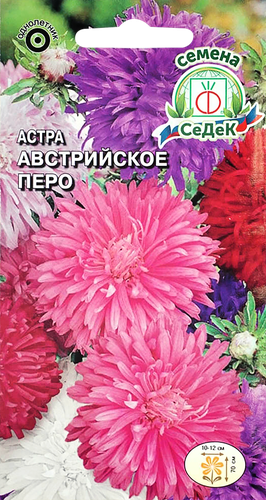 Семена Астра Австрийское перо, изображение