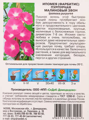 Семена Ипомея Малиновый звон, детальное фото