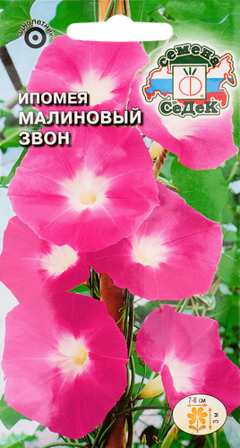 Семена Ипомея Малиновый звон, фото