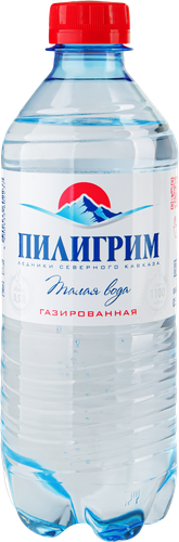 Вода минеральная ПИЛИГРИМ газированная, 0.5л, фотография
