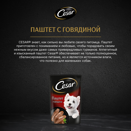Корм для собак CESAR Паштет с говядиной, 80г, крупный план