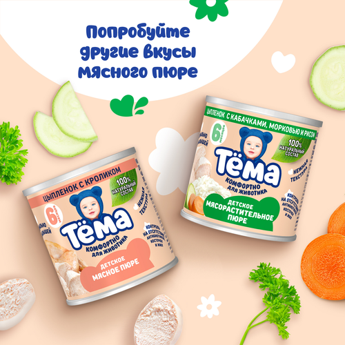 Пюре мясо-растительное ТЕМА Говядина с кабачками и рисом, с 6 месяцев, 90г, детальное фото