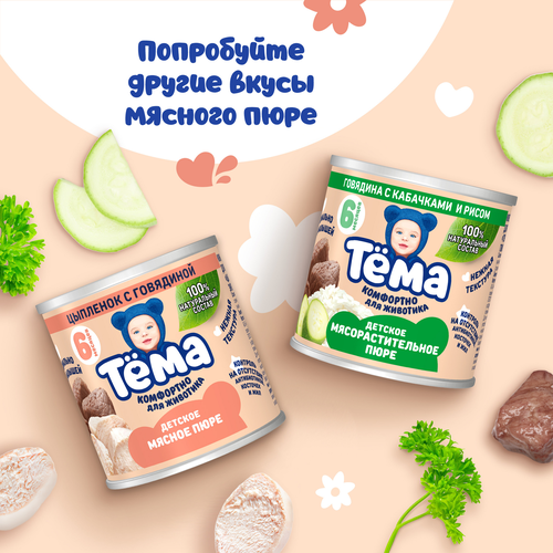 Пюре мясное ТЕМА Говядина, с 6 месяцев, 90г, вид
