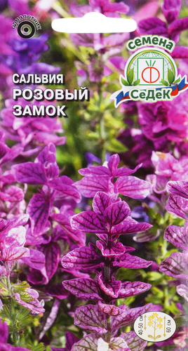 Семена Сальвия Розовый замок, вид
