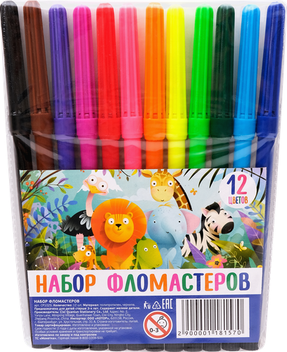 Набор фломастеров, 12 цветов, вид