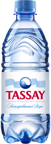 Вода питьевая TASSAY негазированная, 0.5л, фотография