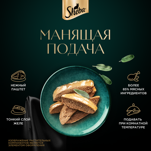 Корм консервированный для кошек SHEBA Нежный паштет в желе Курица, 75г, изображение