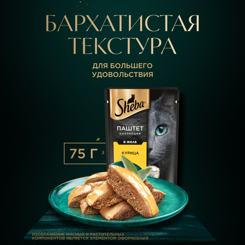 Корм консервированный для кошек SHEBA Нежный паштет в желе Курица, 75г, изображение