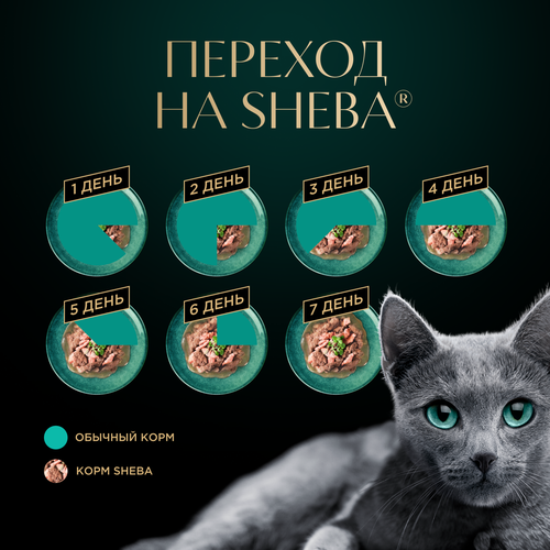 Корм консервированный для кошек SHEBA Нежный паштет в желе Курица, 75г, крупный план