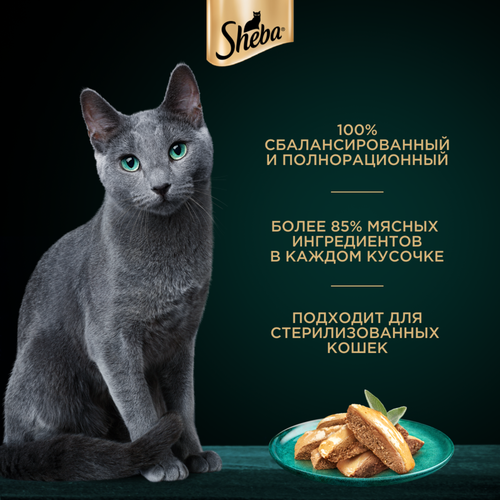 Корм консервированный для кошек SHEBA Нежный паштет в желе Курица, 75г, крупный план