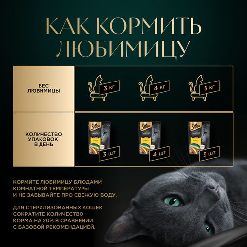 Корм консервированный для кошек SHEBA Нежный паштет в желе Курица, 75г, фото