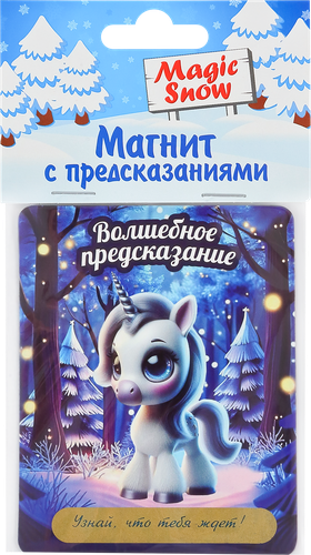 Магнит с предсказаниями, вид