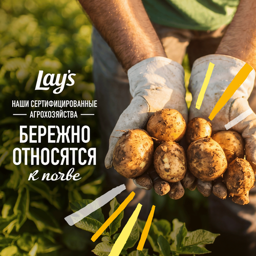 Картофельные чипсы ЛЕЙЗ БЕЛЫЕ ГРИБЫ со сметаной ф/п 105г., крупный план