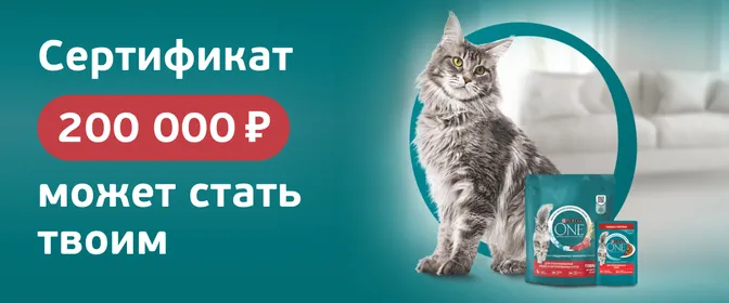 Розыгрыш Purina ONE