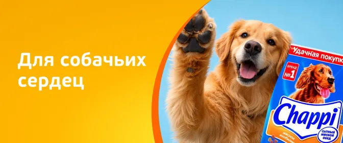 Корма, вкусняшки, игрушки