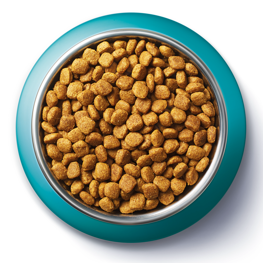 Корм сухой для взрослых кошек PURINA ONE Sensitive Индейка и рис, с чувствительным пищеварением, 750г, превью