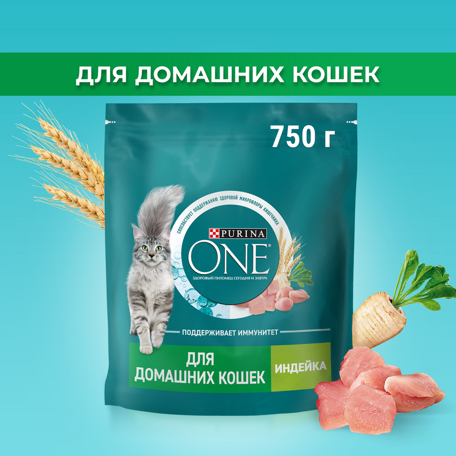 Корм сухой для взрослых кошек PURINA ONE Housecat с индейкой и цельными злаками, 750г, фотография
