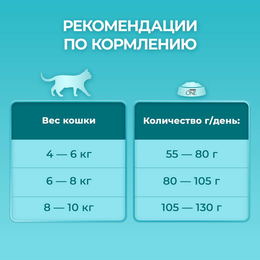 Корм сухой для взрослых кошек PURINA ONE Sterilised с лососем и пшеницей, для стерилизованных, 200г, крупный план