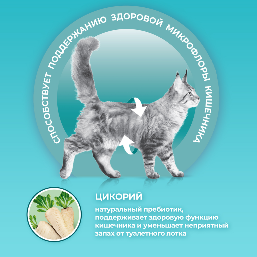 Корм сухой для взрослых кошек PURINA ONE Housecat с индейкой и цельными злаками, 1,5кг, крупный план