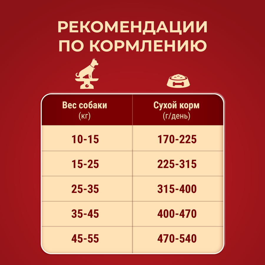 Корм сухой для взрослых собак PURINA ONE Adult Говядина и рис, для средних и крупных пород, 1,8кг, превью