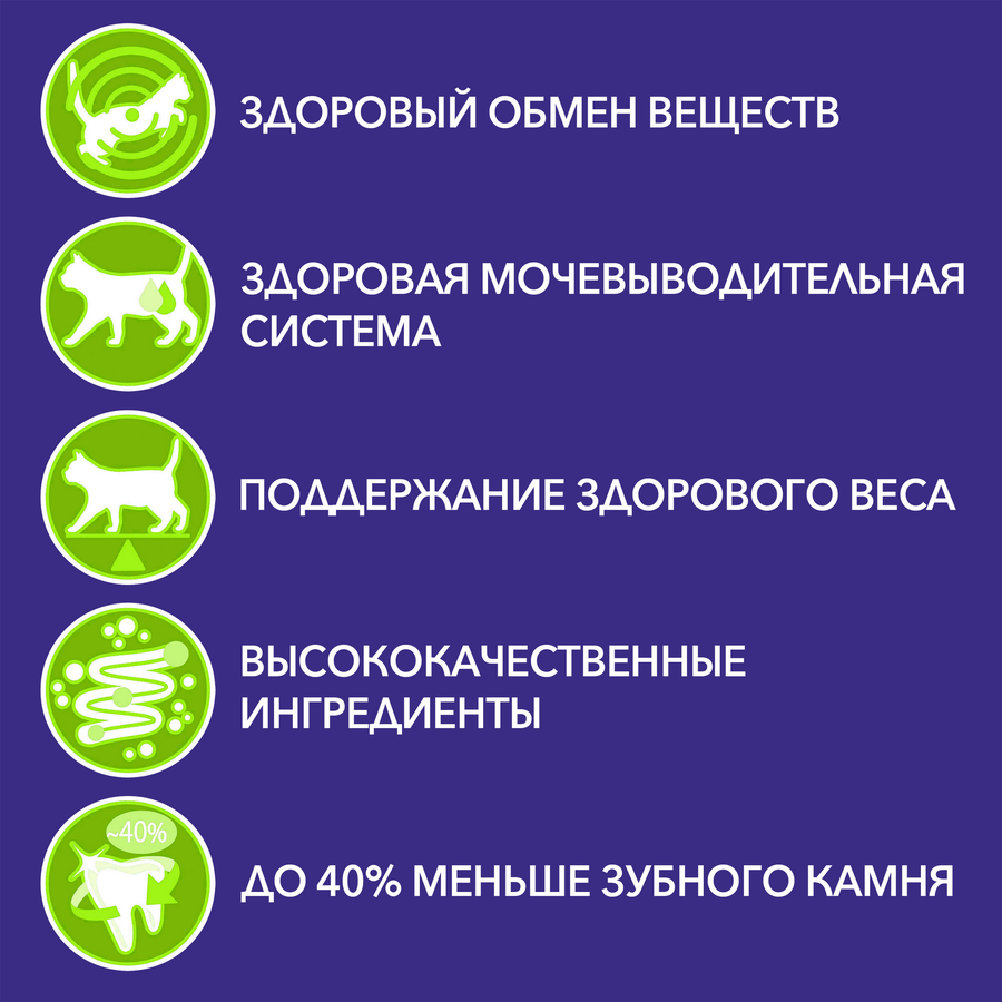 Корм сухой для взрослых кошек PURINA ONE Superfood с говядиной, для стерилизованных, 680г, предпросмотр