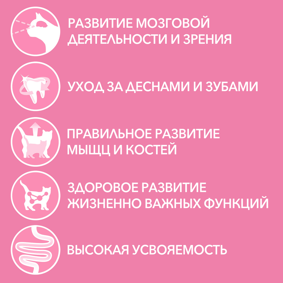 Корм влажный для котят PURINA ONE Kitten с курицей и морковью в соусе, 75г, предпросмотр