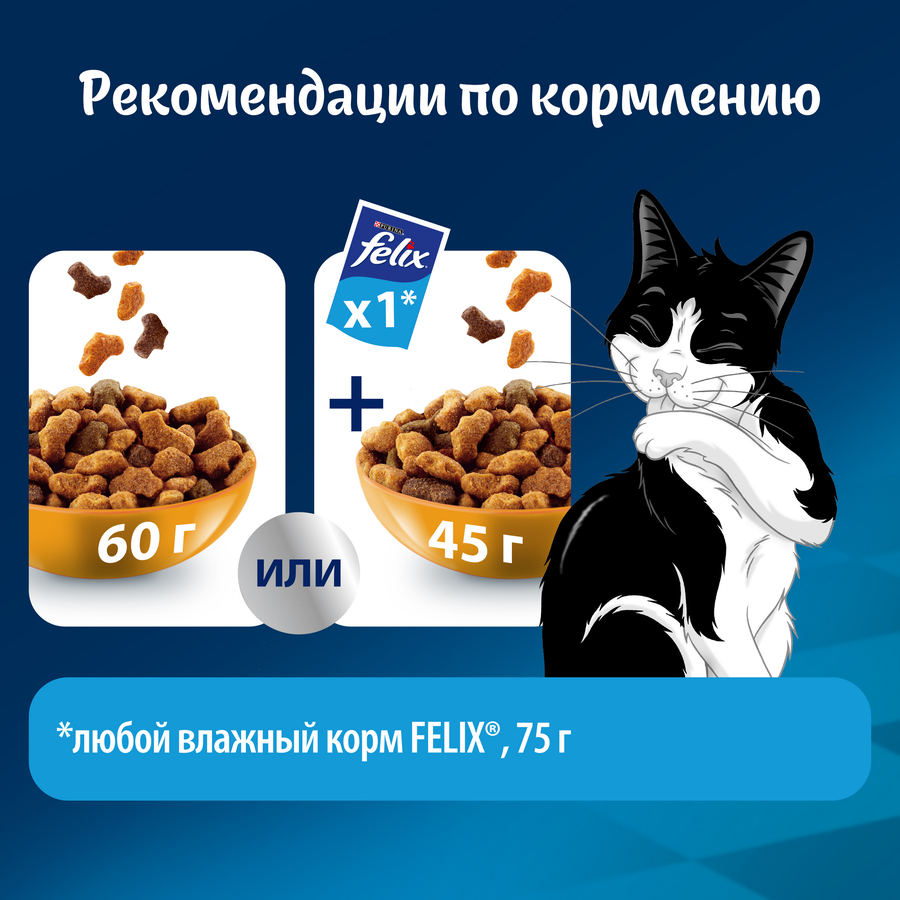 Корм сухой для взрослых кошек FELIX Мясное объедение&nbsp;с&nbsp;курицей, 200г, превью