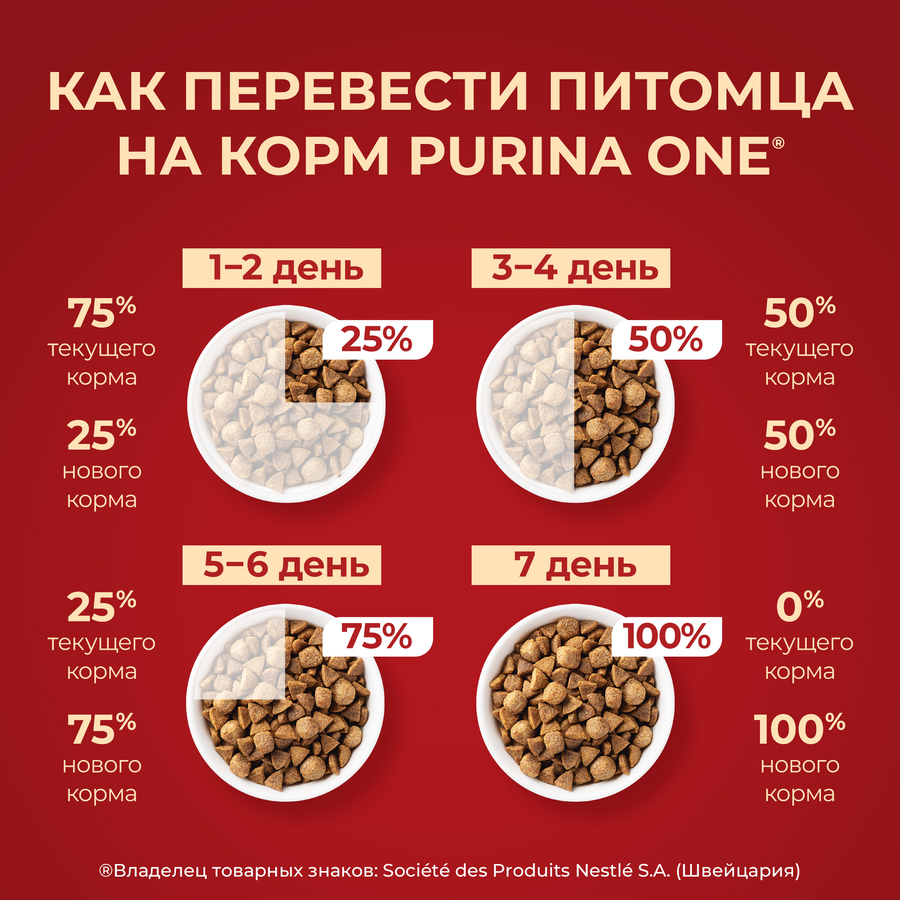 Корм сухой для взрослых собак PURINA ONE Adult Говядина и рис, для мелких и карликовых пород, 1,5кг, превью