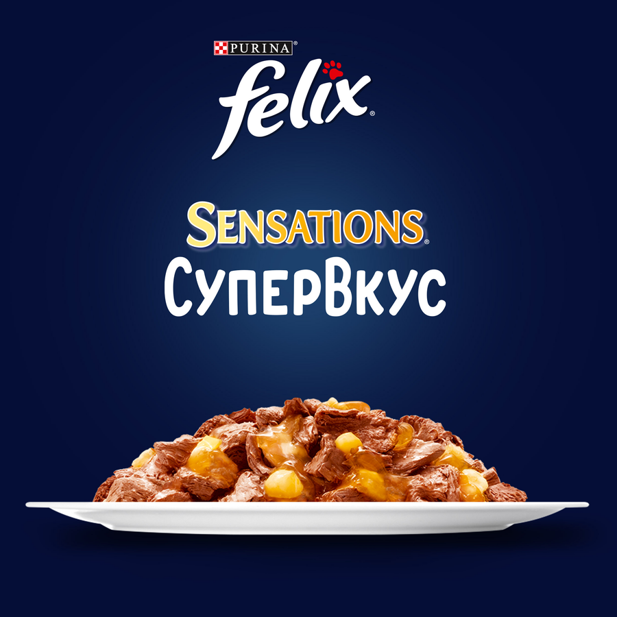 Корм консервированный для взрослых кошек FELIX Sensations Супервкус с говядиной и сыром, 75г, предпросмотр