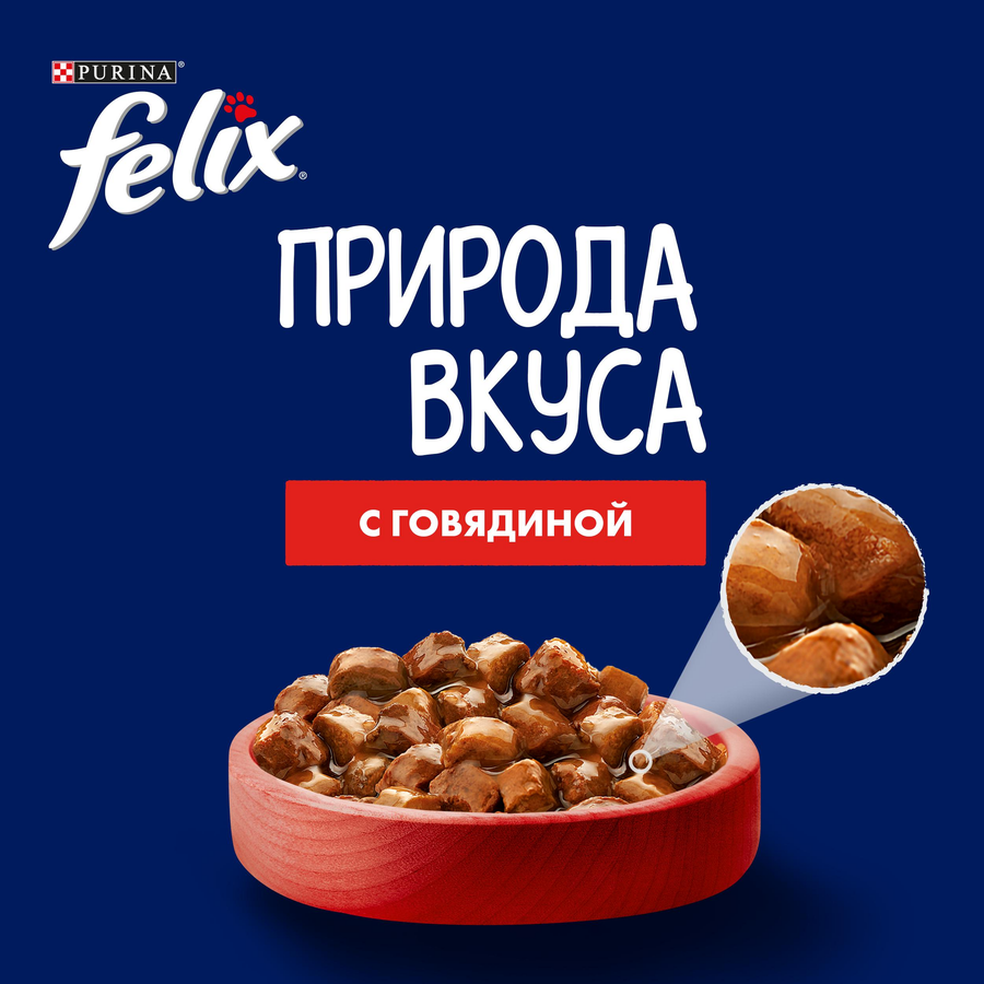 Корм влажный для взрослых кошек FELIX Природа вкуса Говядина, 75г, превью