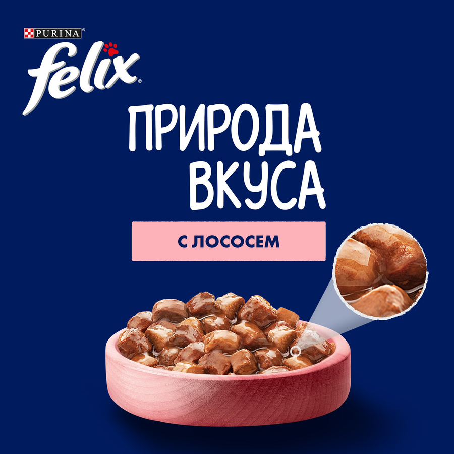 Корм влажный для взрослых кошек FELIX Природа вкуса Лосось, 75г, предпросмотр