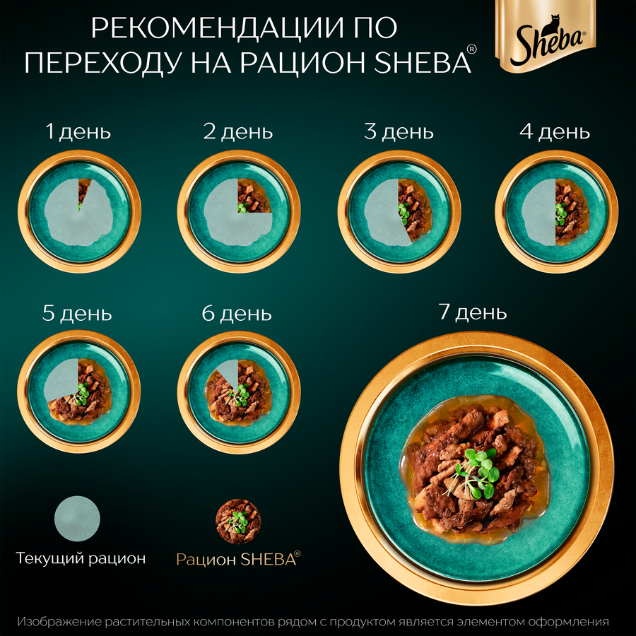 Корм консервированный для кошек SHEBA Нежный паштет в желе Лосось, 75г, предпросмотр