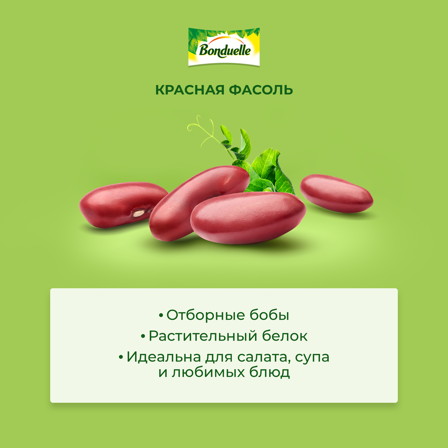Фасоль красная БОНДЮЭЛЬ, 425мл, предпросмотр