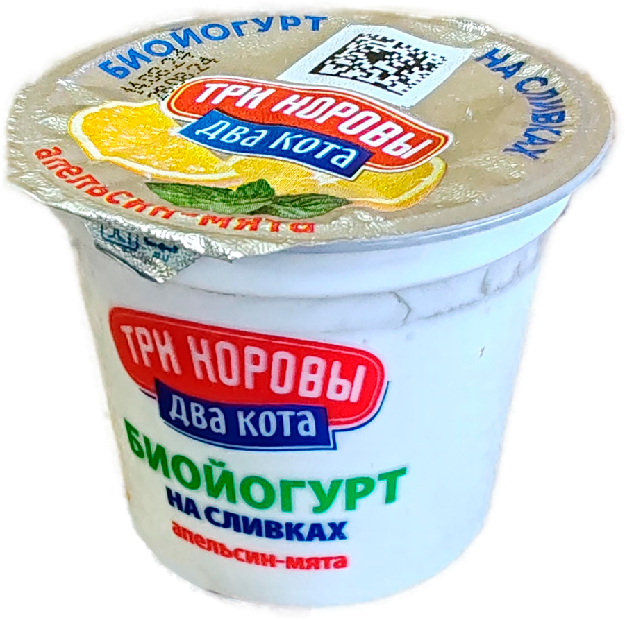 Биойогурт ТРИ КОРОВЫ ДВА КОТА с апельсином и мятой 6%, без змж, 125г, превью