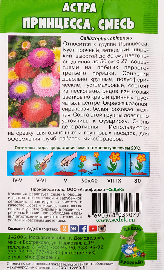 Семена Астра Принцесса, предпросмотр